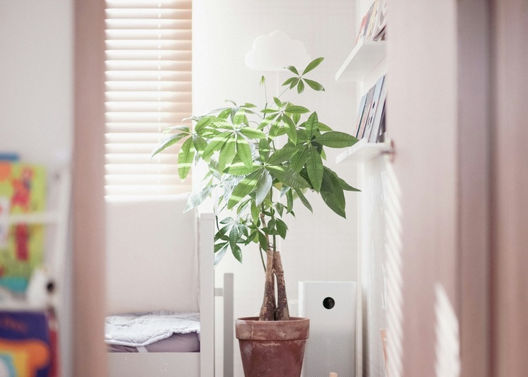 Featured Blog Post